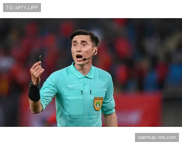 裁判判罚再成焦点，专家呼吁提升足球执法标准